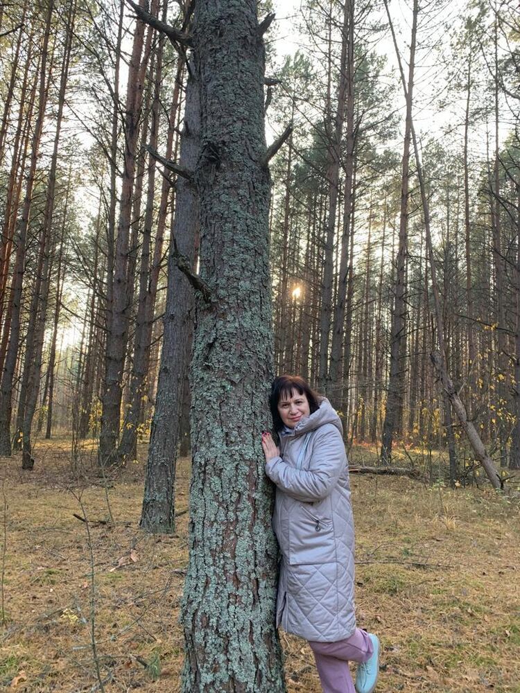  28335340  , 58 ,    -