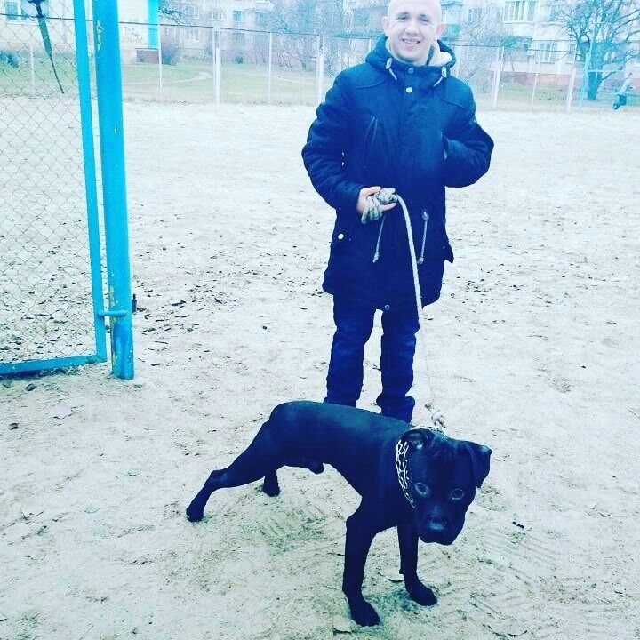 ���� 12103830 ������� Romanbudda, 29 ���, ���� ���������� � �����