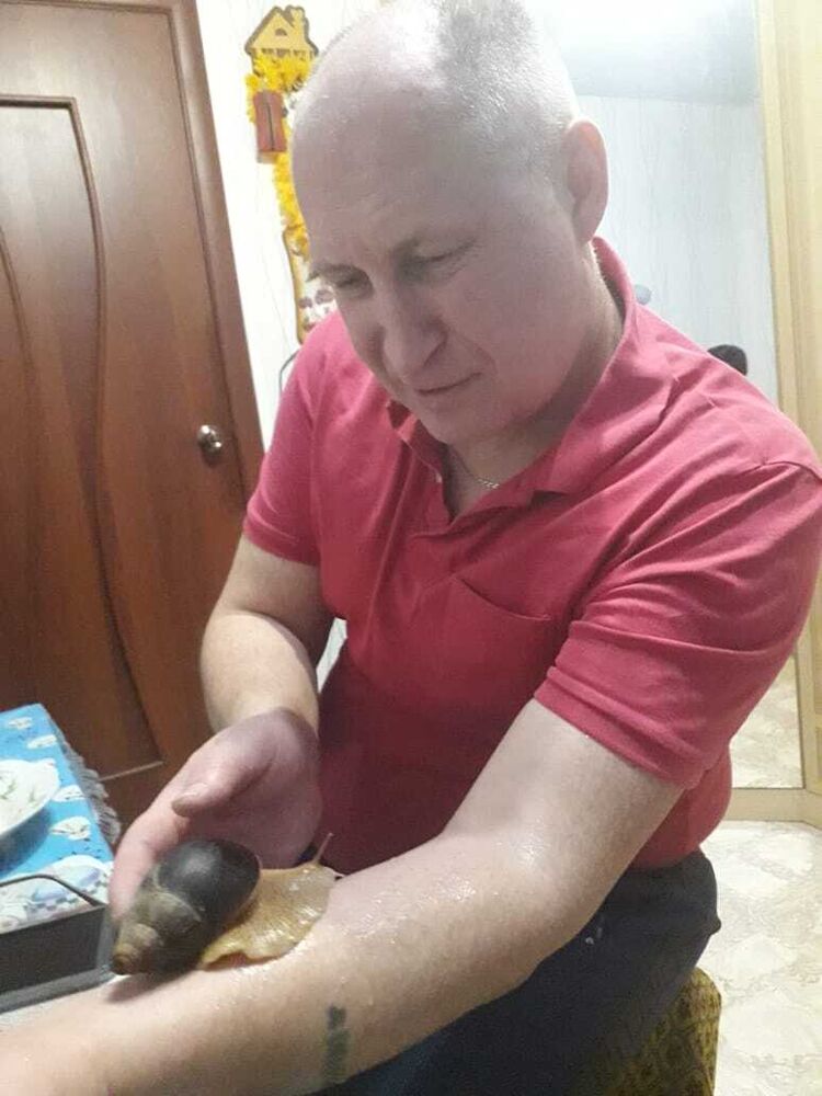  ,   , 54 ,     