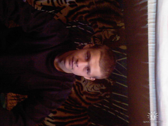 ���� 4775630 ������� Volk, 38 ���, ���� ���������� � ������