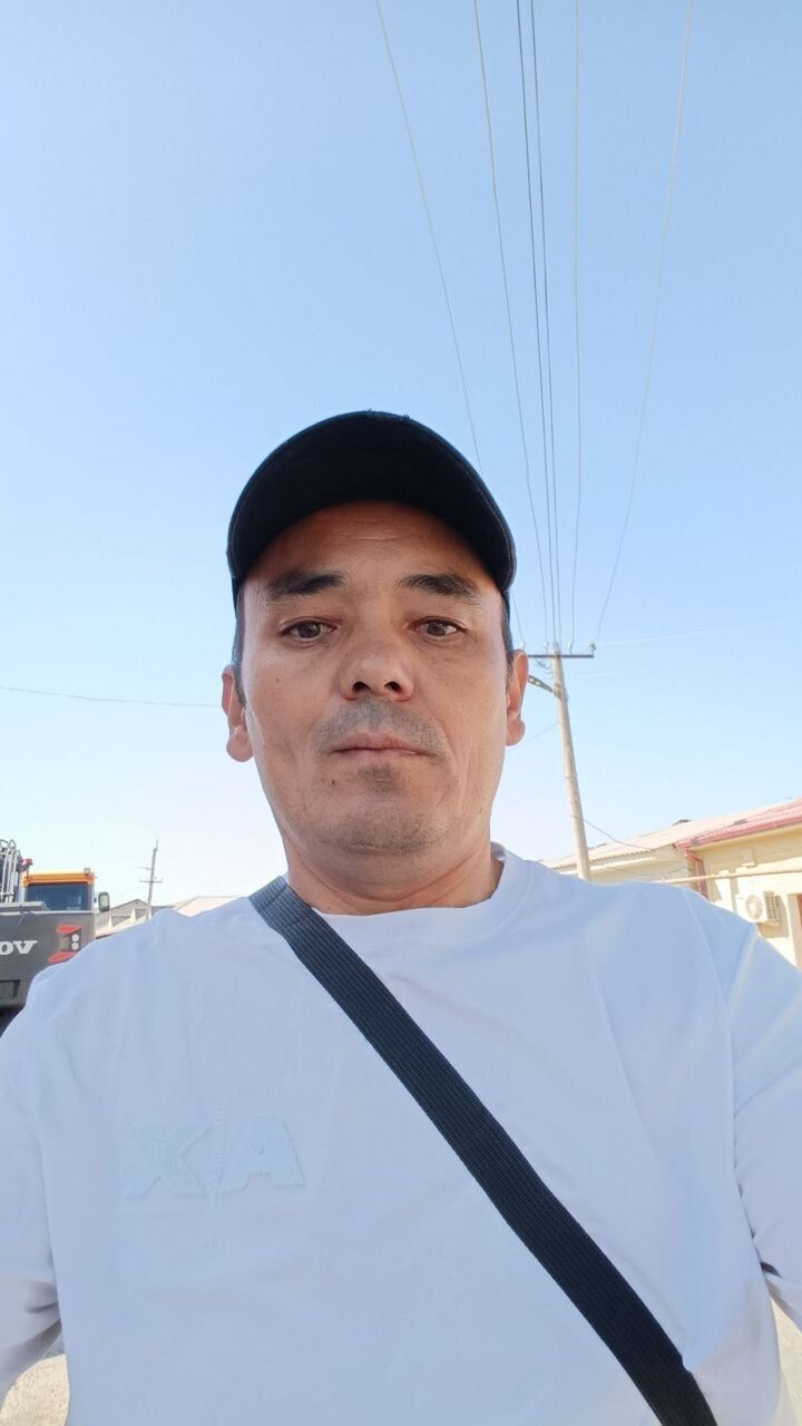  53580370  , 43 ,    
