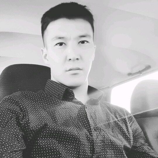  19581900  , 31 ,    