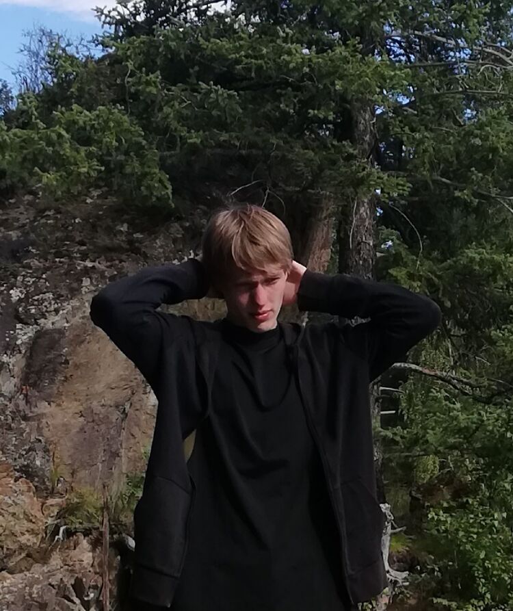  33015290  , 24 ,    