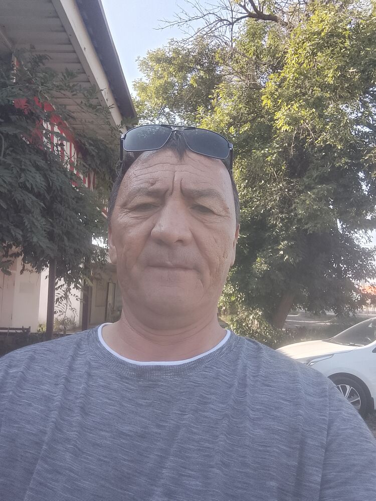  53343830  , 52 ,    