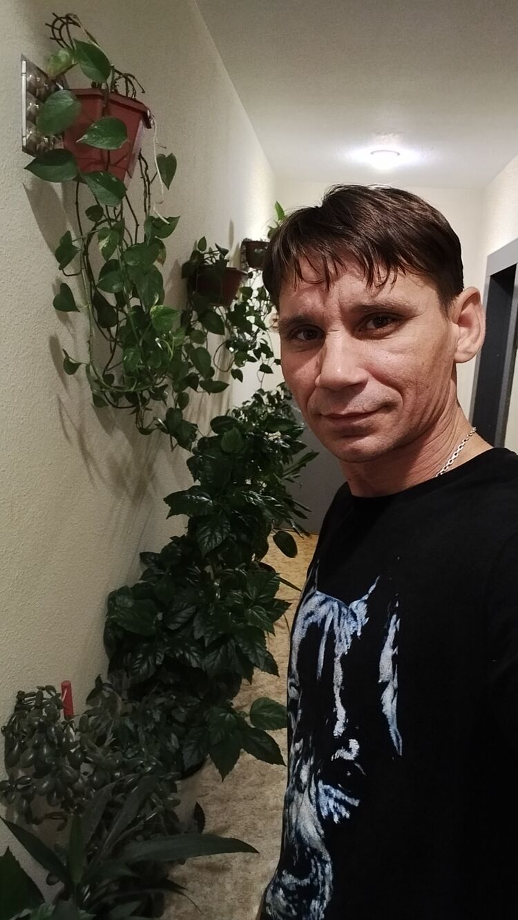  53377470  , 41 ,    