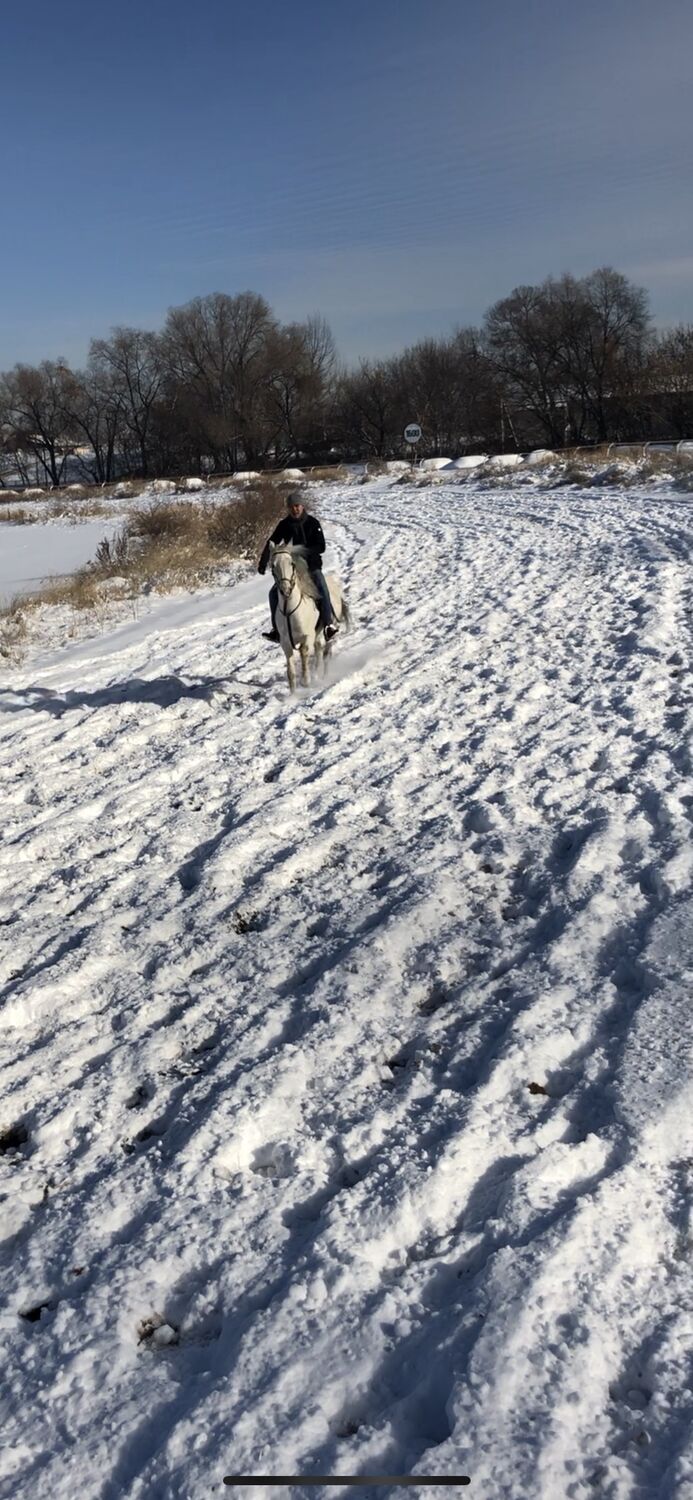 ���������� ������, ���� ������� Nuka, 28 ���, ������������ ��� ������, ����� � ���������