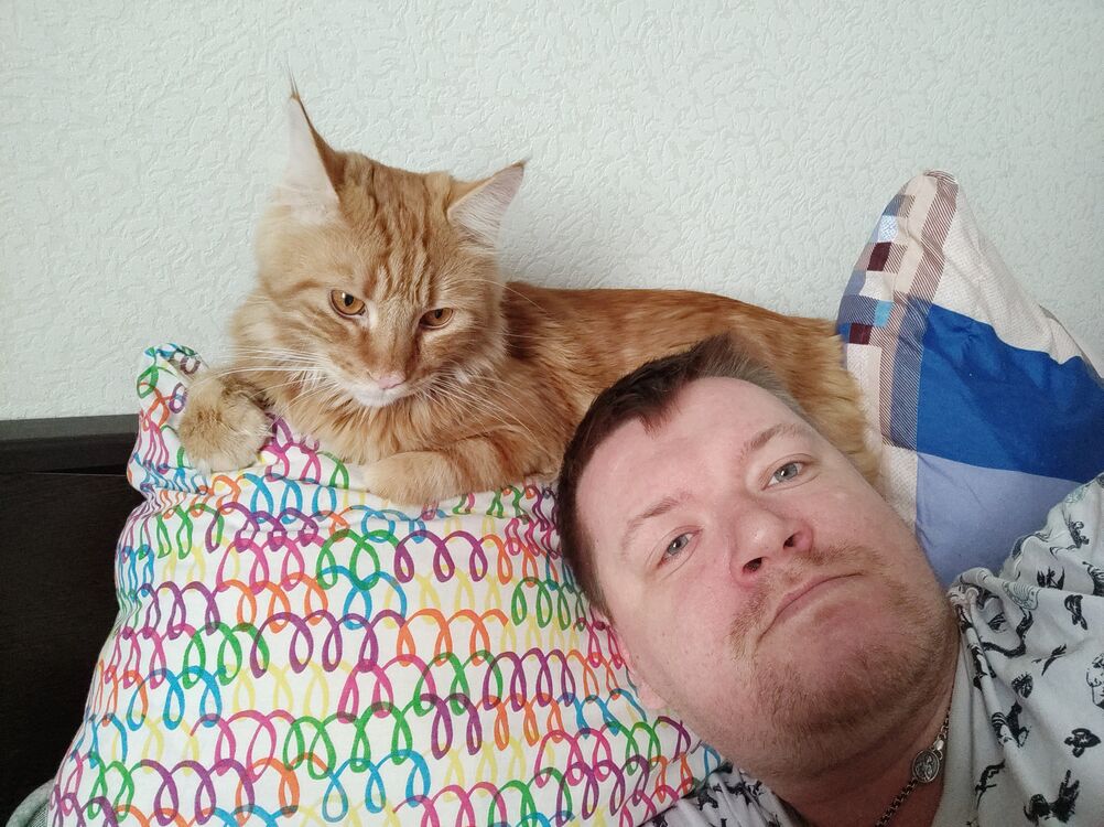 ���� 25814010 ������� �������, 38 ���, ���� ���������� � �����-����������