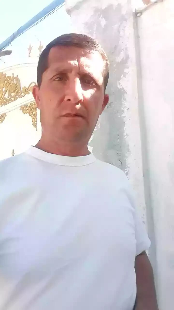  24384380  , 44 ,    