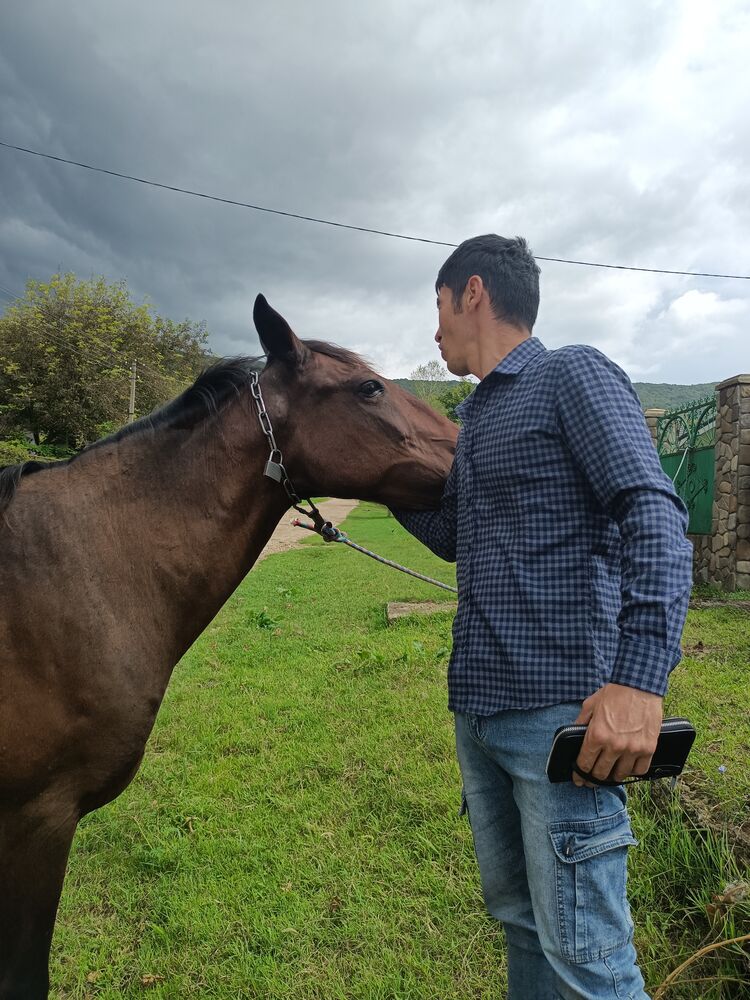 ���� 24612420 ������� ��������, 32 ����, ���� ���������� � ����������