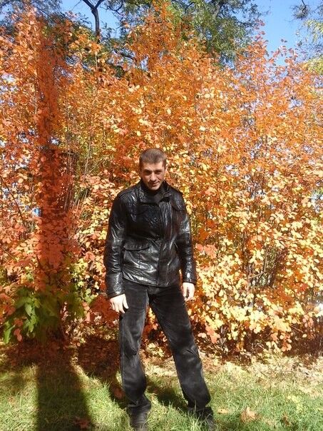 ���� 7849120 ������� ����������, 49 ���, ���� ���������� � �������-��-����