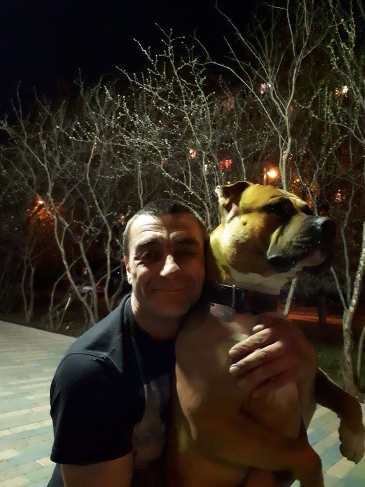 ���� 12353830 ������� �����, 48 ���, ���� ���������� � ������