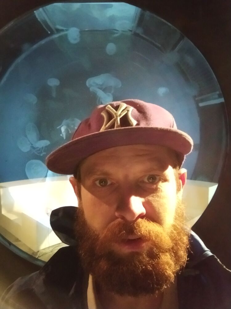 ���������� �����-���������, ���� ������� �����, 40 ���, ������������ ��� ������, ����� � ���������