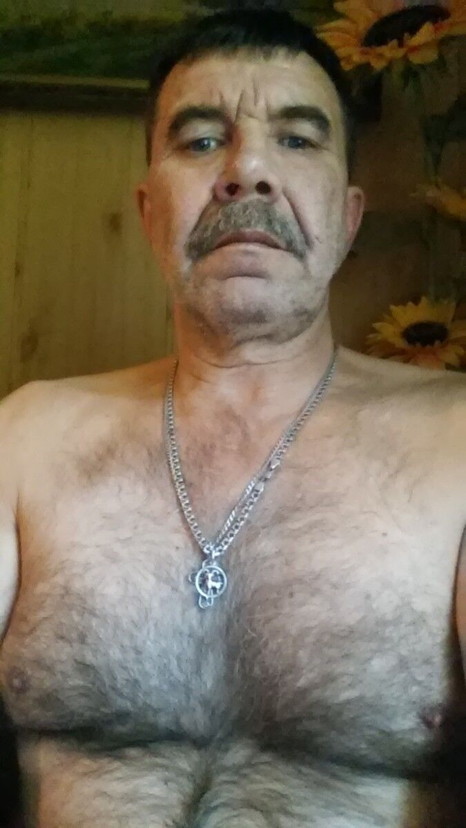  15154990  , 63 ,    