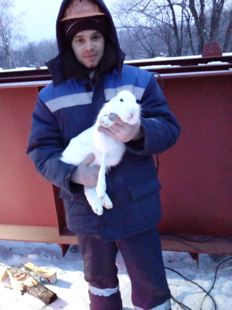 ���������� �������������-����������, ���� ������� ������, 30 ���, ������������ ��� ������, ����� � ���������, c�������� ���������, ���������