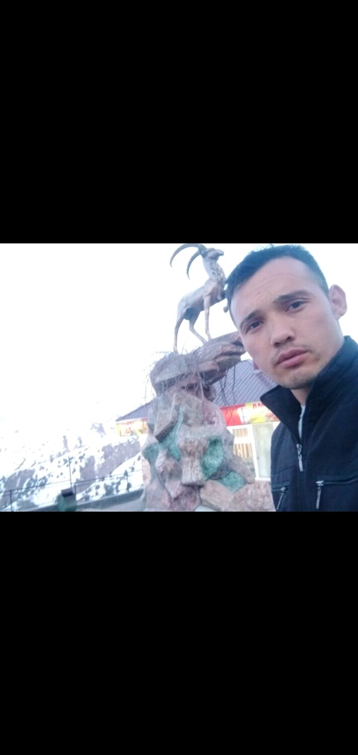 ���� 25033760 ������� ���������, 31 ���, ���� ���������� � ������