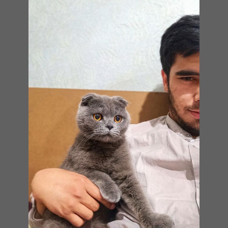  ,   Bek, 27 ,   ,   