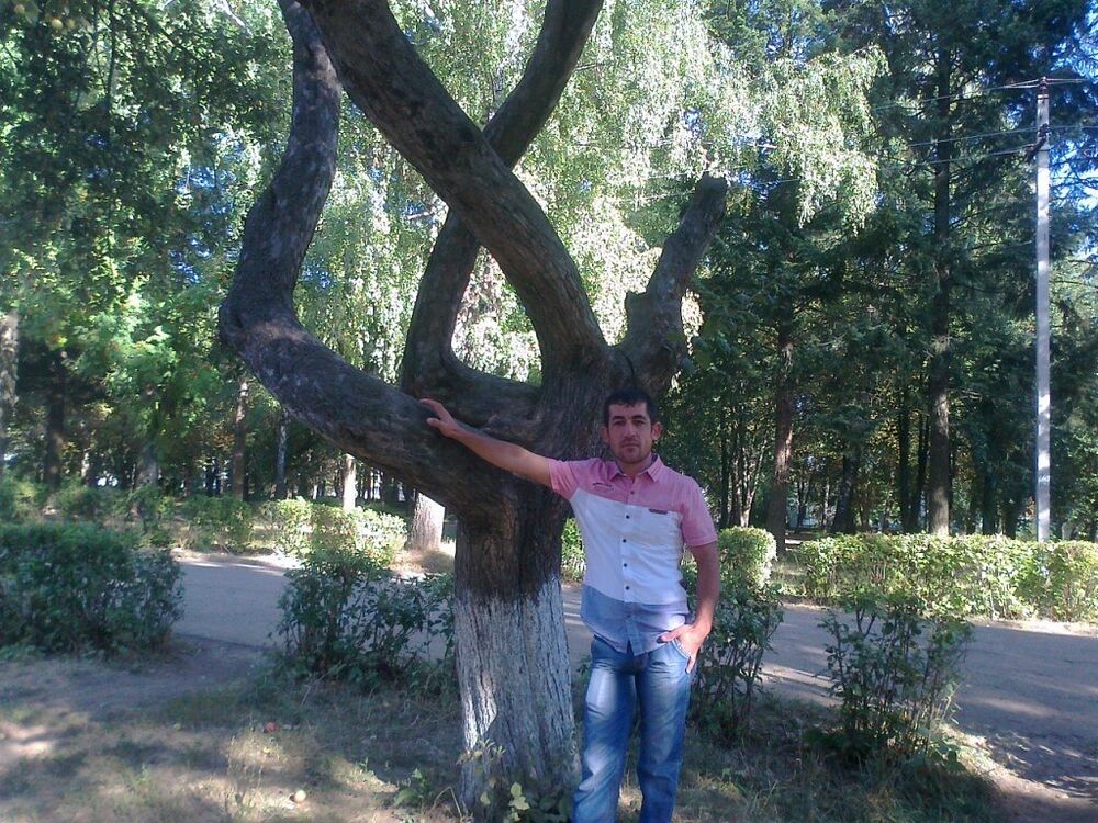  ,   AGSh, 43 ,   ,   , 