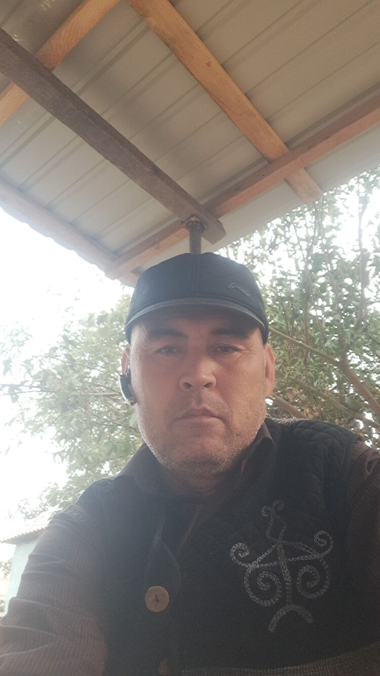  49338640  , 49 ,    -