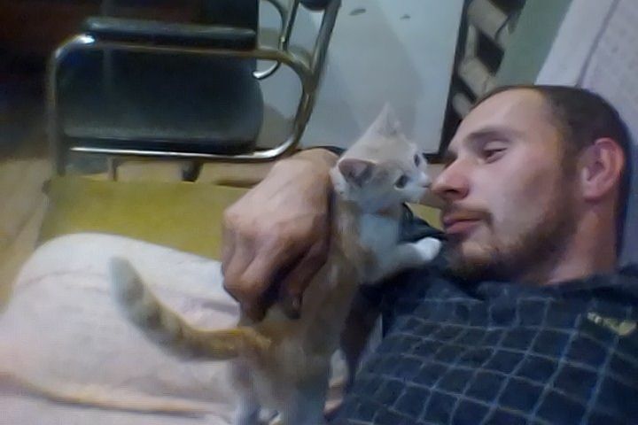  ,   , 36 ,   