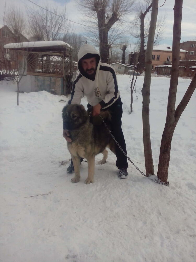 ���� 55189310 ������� �����, 55 ���, ���� ���������� � ������������