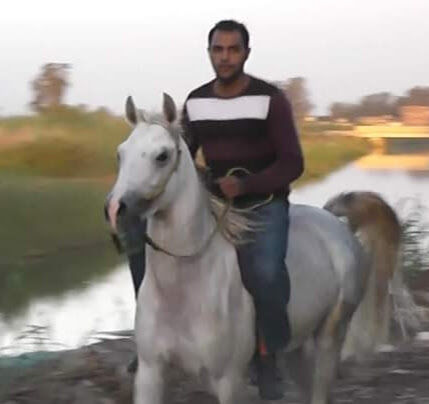  ,   , 41 ,   ,   , c , 