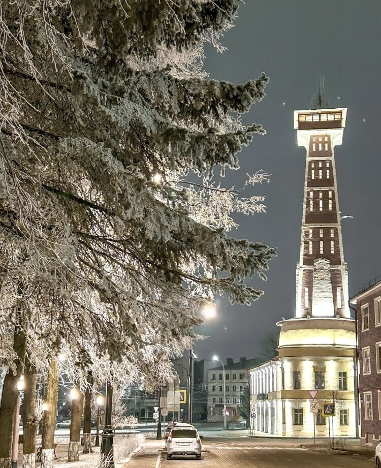  49630600  Irina, 52 ,    