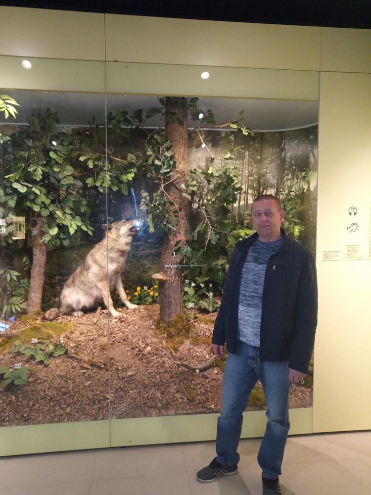 ���� 44800470 ������� ������, 44 ����, ���� ���������� � �����������