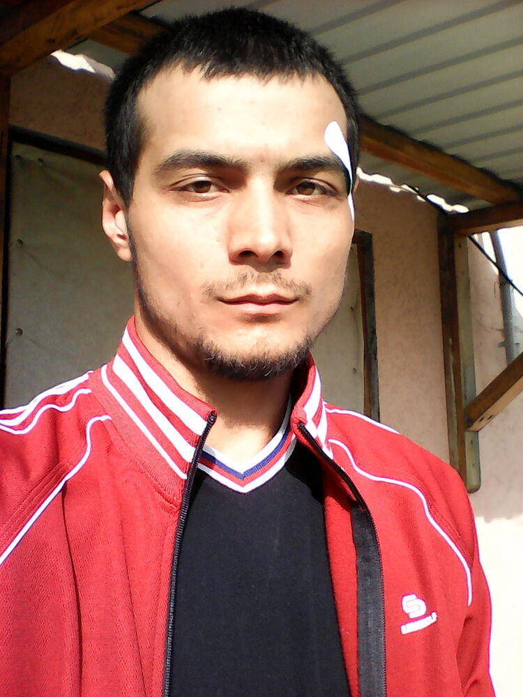  16030760  , 33 ,    