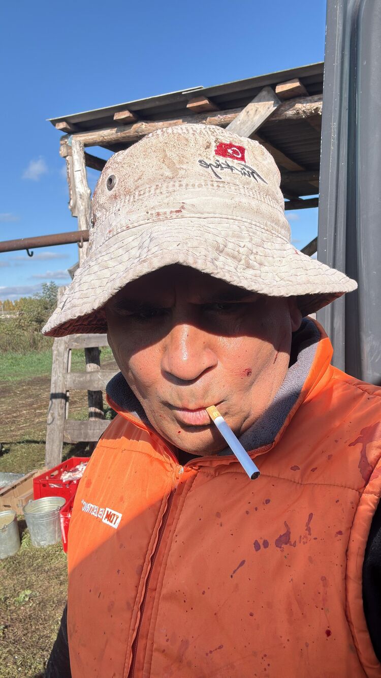 ���� 55803510 ������� �������, 46 ���, ���� ���������� � ������������