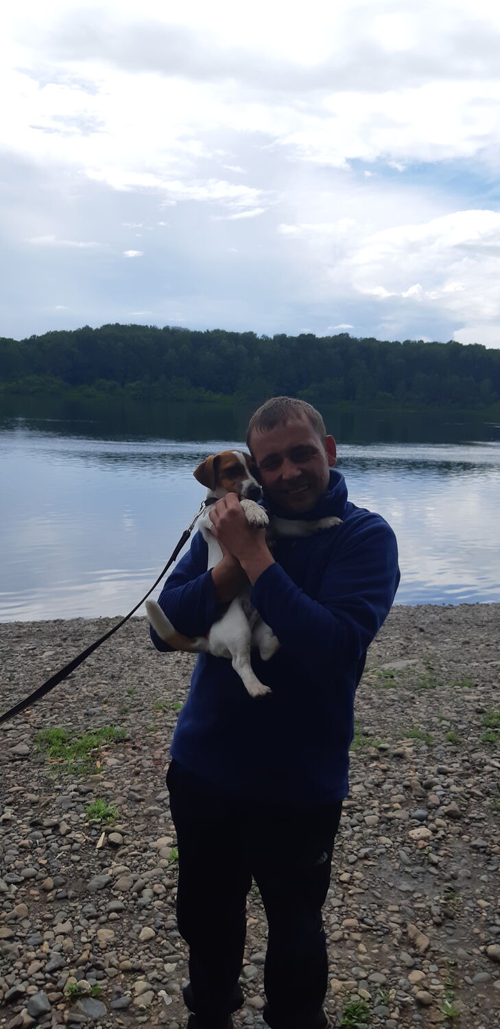 ���� 27945550 ������� ������, 43 ����, ���� ���������� � ��������