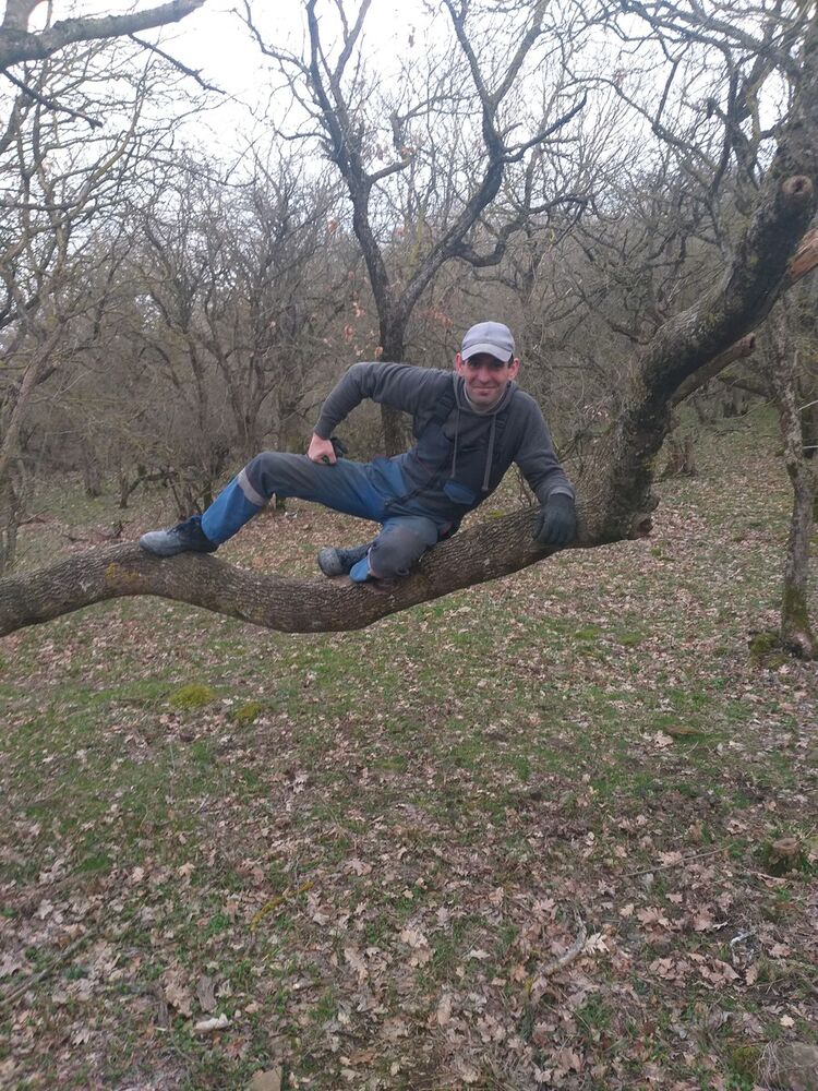 ���������� ������������, ���� ������� �������, 40 ���, ������������ ��� ������, ����� � ���������, c�������� ���������