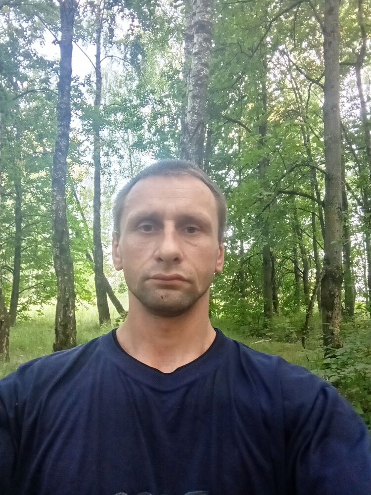  53165130  , 39 ,    