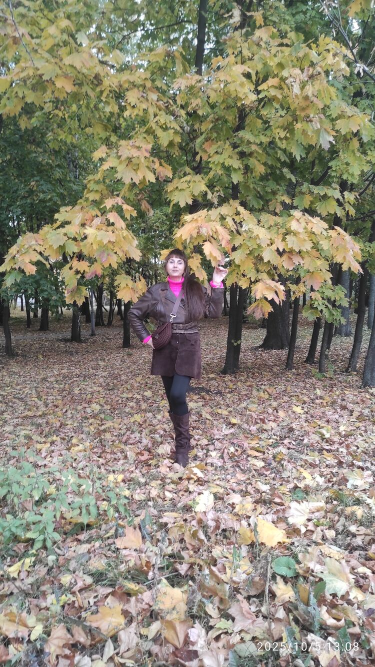 ���������� ������, ���� ������� ��������, 48 ���, ������������ ��� ����� � ���������