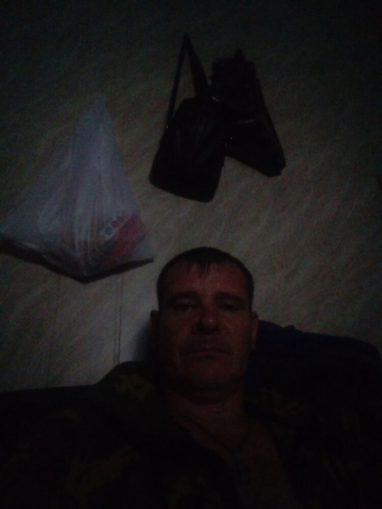  37040750  , 43 ,    