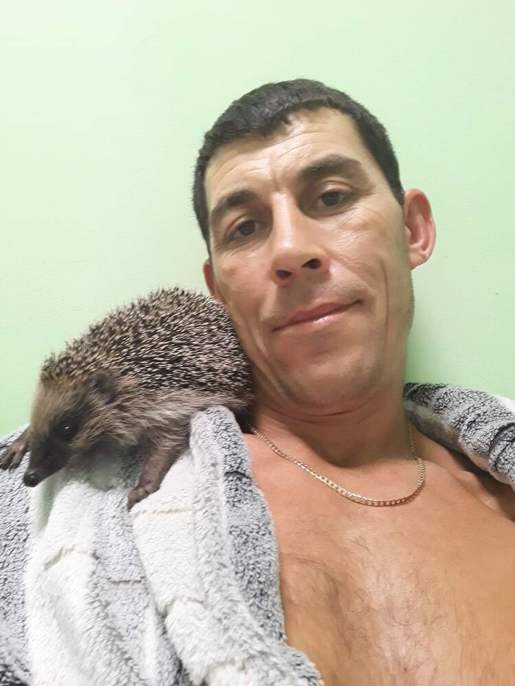 ���������� ����, ���� ������� ������, 39 ���, ������������ ��� ������, ����� � ���������, c�������� ���������