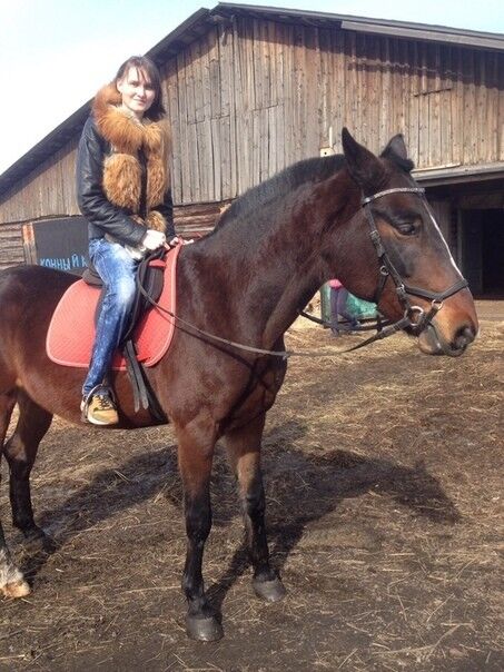 ���������� ��������, ���� ������� ������, 25 ���, ������������ ��� ������, ����� � ���������, c�������� ���������