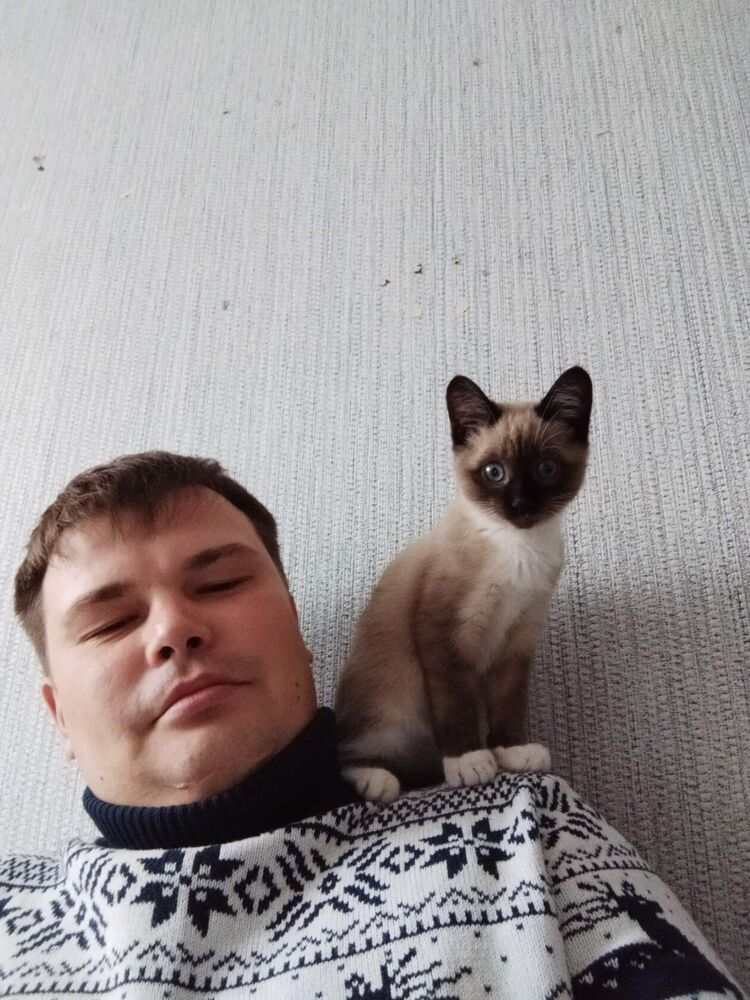 ���� 53949050 ������� ������, 36 ���, ���� ���������� � �������