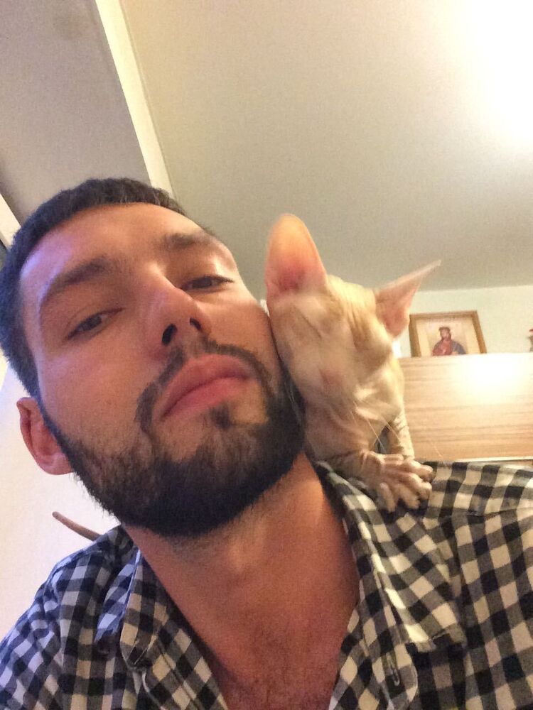 ���������� �������, ���� ������� ����, 38 ���, ������������ ��� ����� � ���������, c�������� ���������