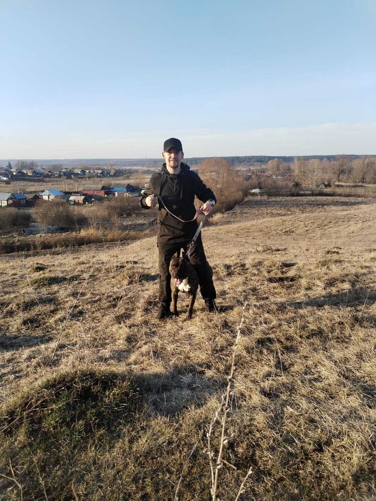  52117430  , 25 ,    