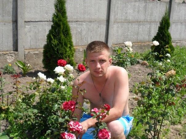 ���������� �����, ���� ������� ���������, 40 ���, ������������ ��� ������, ����� � ���������, c�������� ���������