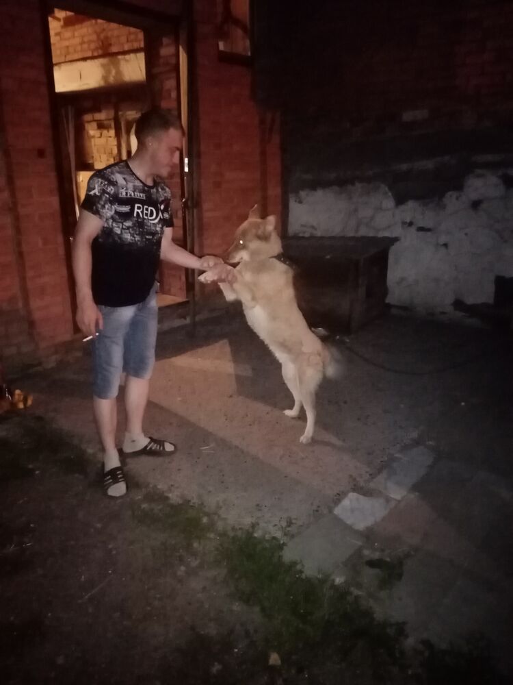 ���������� �����, ���� ������� �����, 26 ���, ������������ 