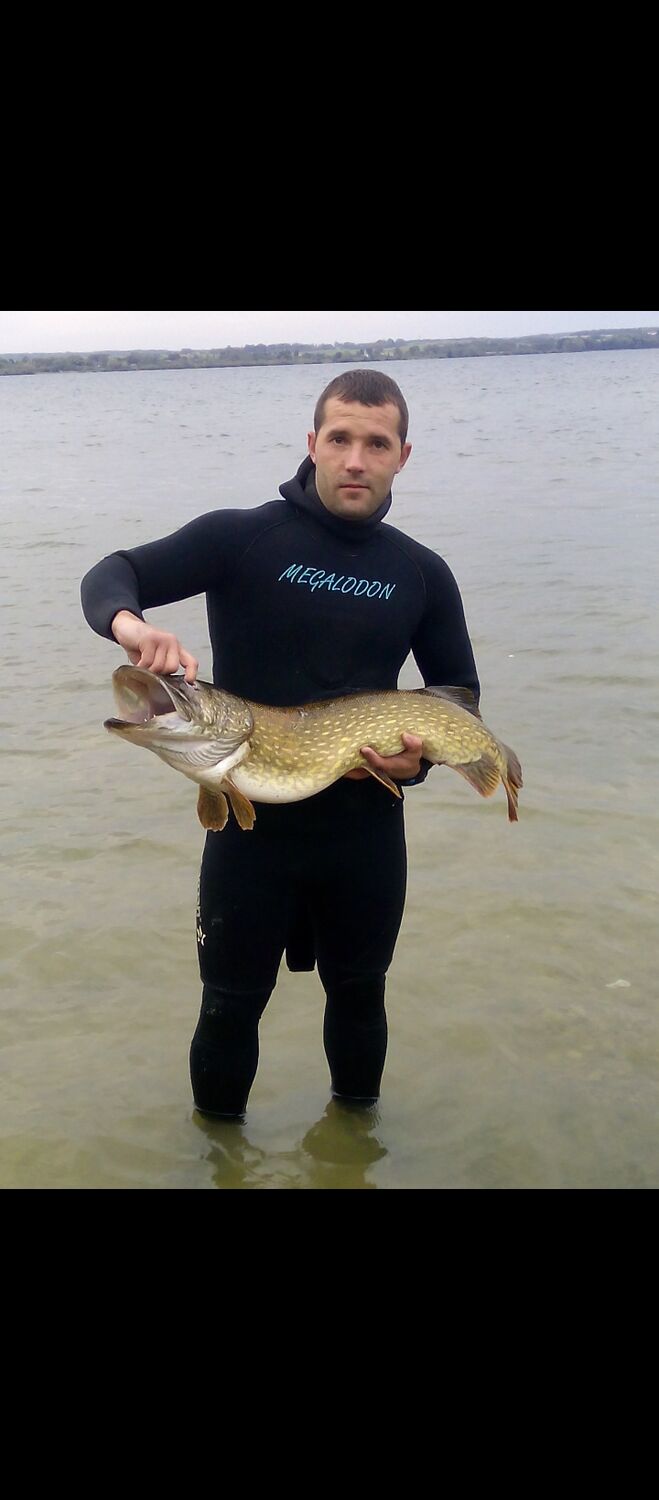 ���� 55645340 ������� Dmitry, 38 ���, ���� ���������� � ������