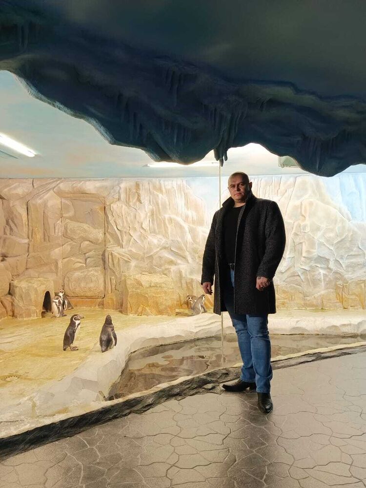 ���� 41062130 ������� ������, 37 ���, ���� ���������� � �������