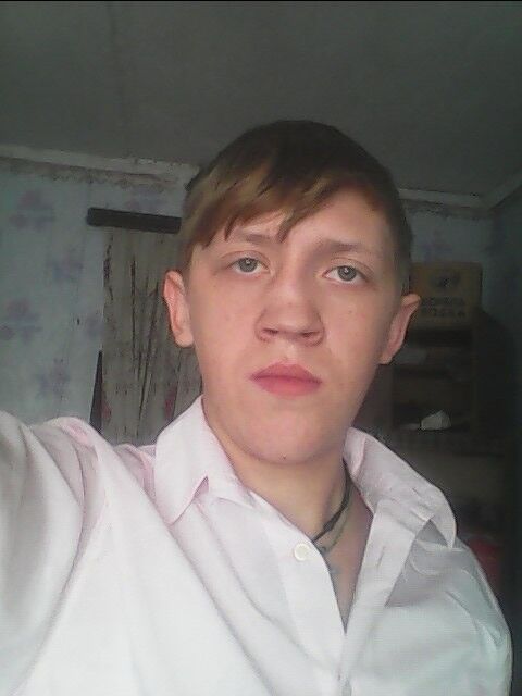  8322050  , 29 ,    