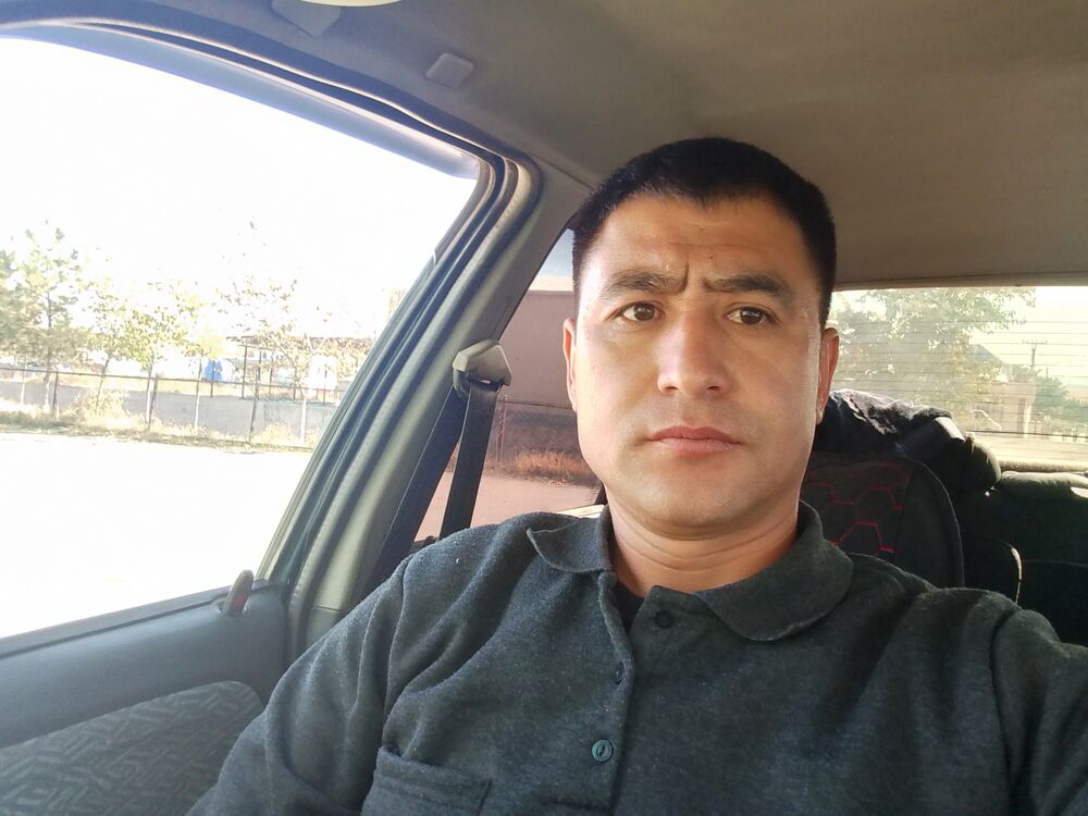 ���� 50584660 ������� �����, 38 ���, ���� ���������� � ������