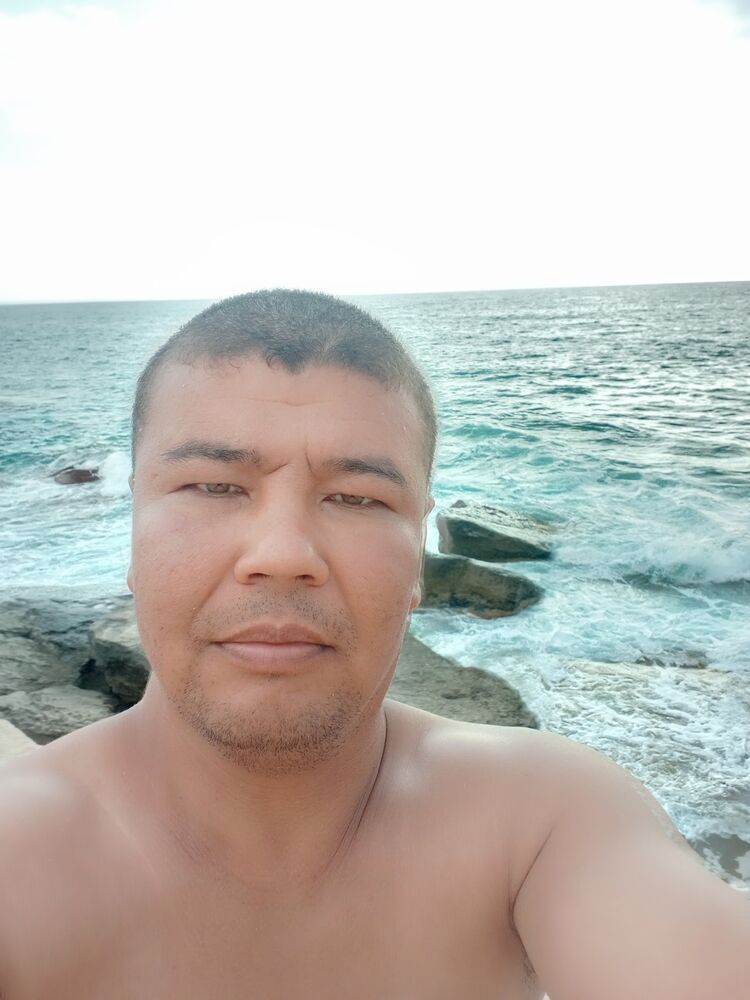  36269760  , 33 ,    