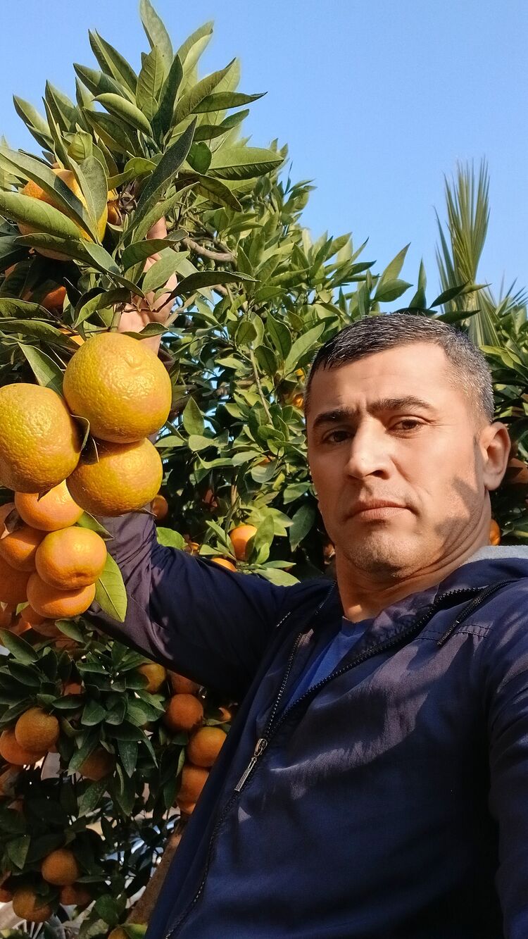 ���������� ������, ���� ������� ������, 41 ���, ������������ ��� ������, ����� � ���������