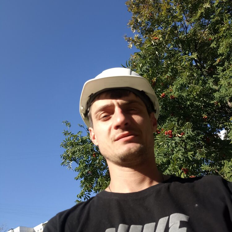 ���� 45979990 ������� ����, 38 ���, ���� ���������� � ������