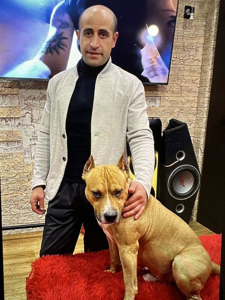  ,   , 35 ,   ,   
