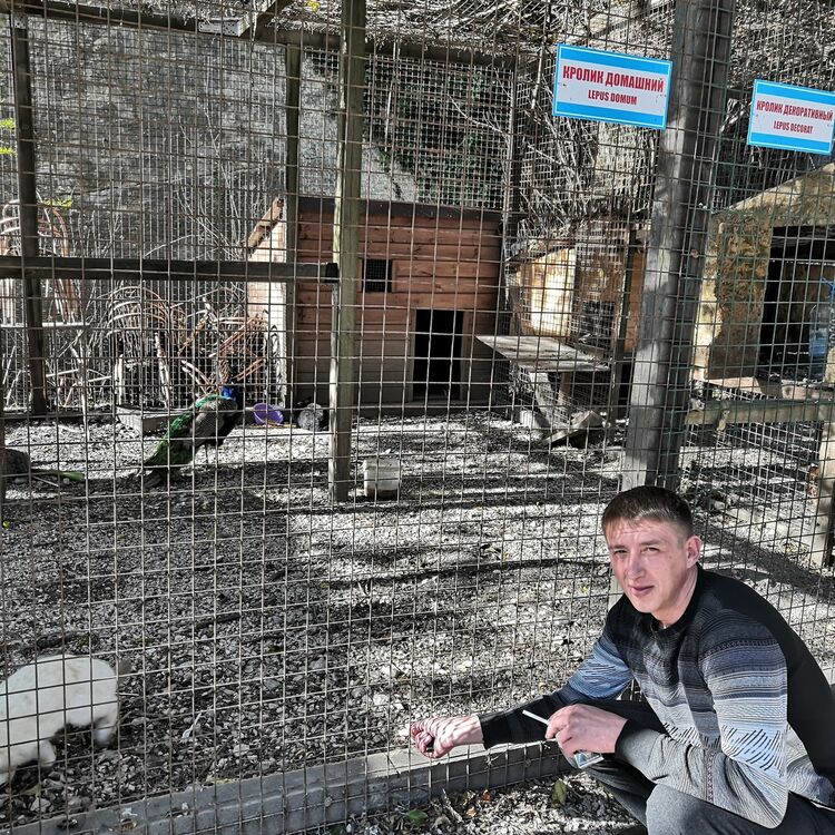 ���������� ��������, ���� ������� �������, 41 ���, ������������ ��� ������, ����� � ���������, c�������� ���������